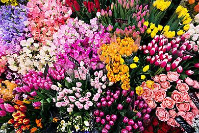 《微软飞行模拟》将于6月14日更新简体中文